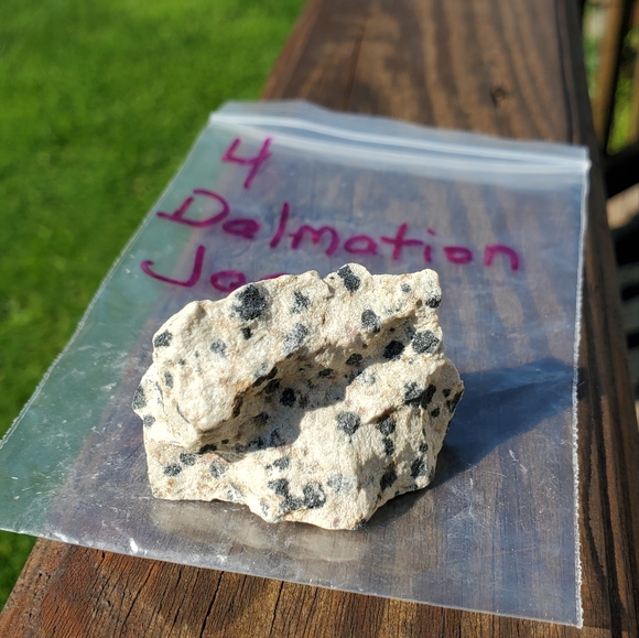 #4 Raw Dalmatian Jasper Gemstone - Picture 5 of 6